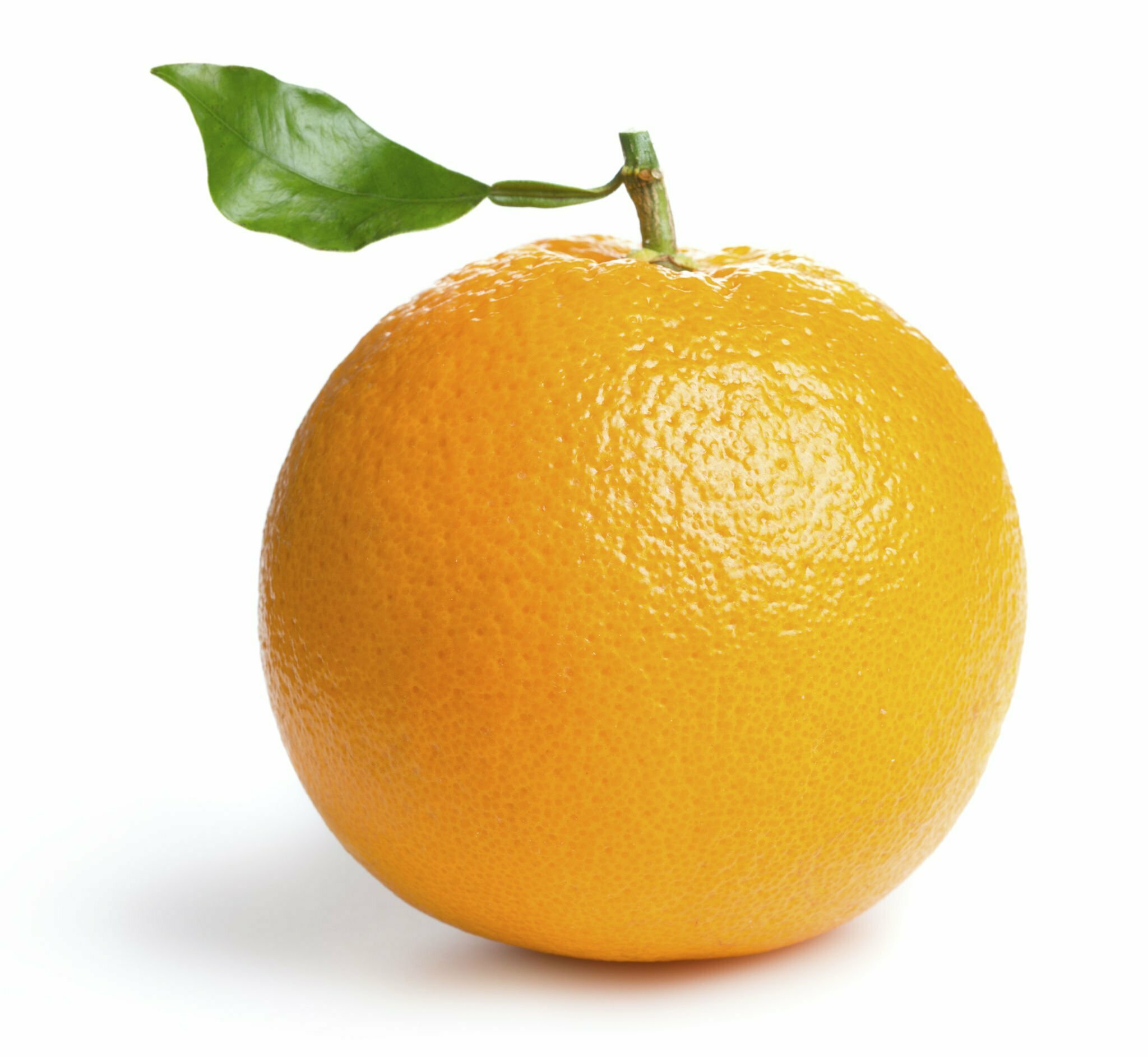 Citrus