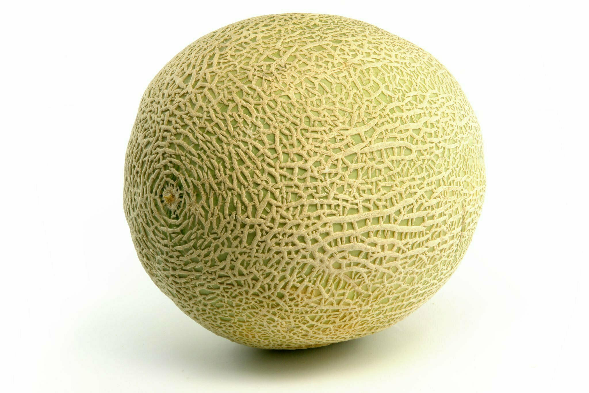 Cantaloupe