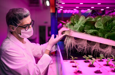 Farming Techniques